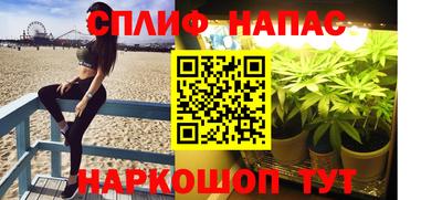 шишки Абинск