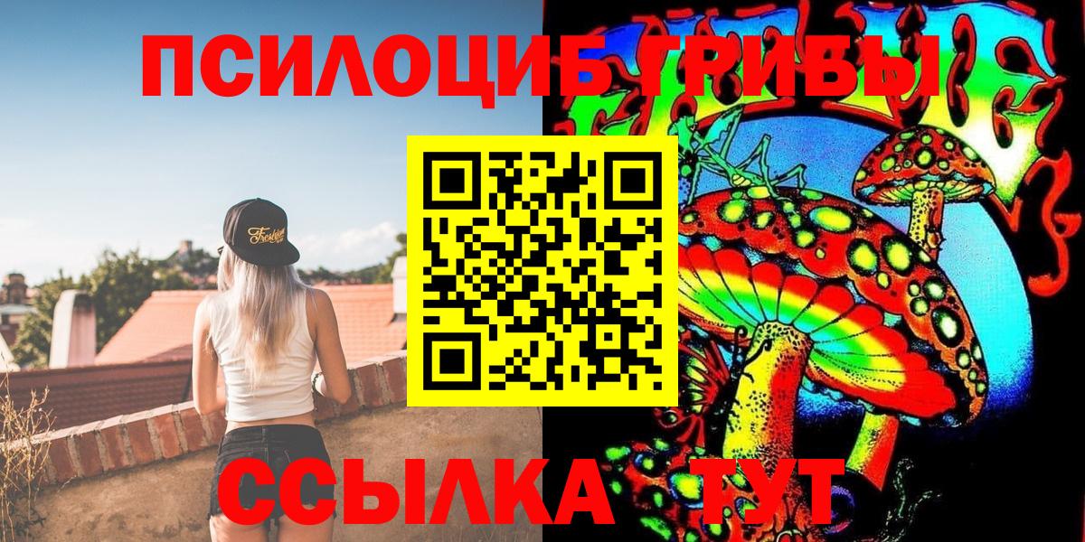 Галлюциногенные грибы Cubensis Гусь-Хрустальный