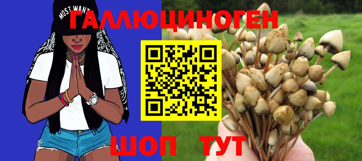 Псилоцибиновые грибы прущие грибы  Галлюциногенные грибы мицелий  Гусь-Хрустальный  Вход с VPN 